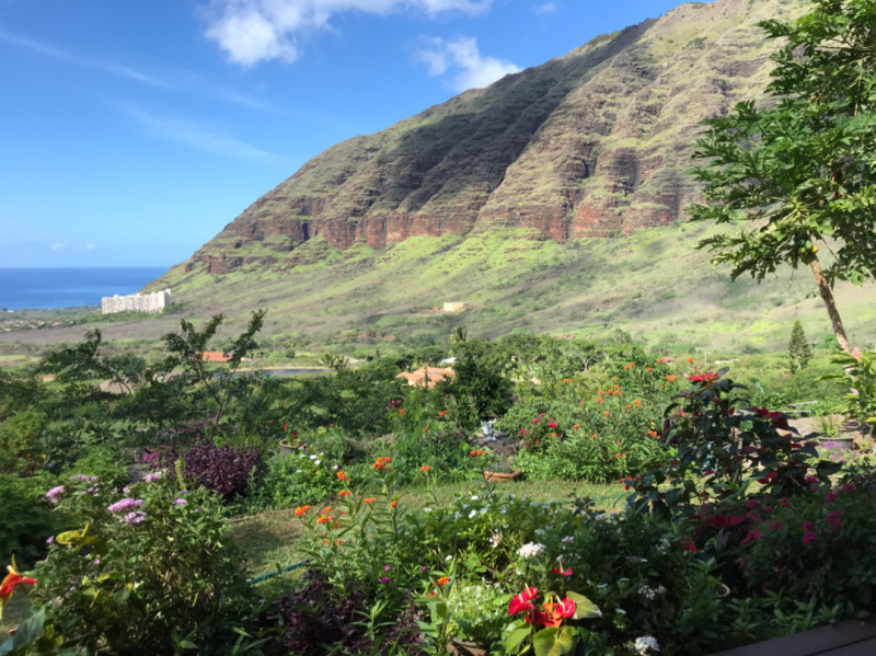 hawaii flowers